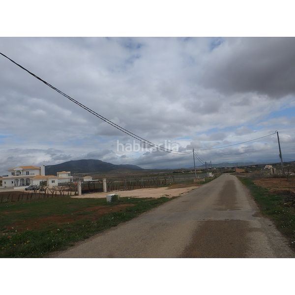 Foto bace8049-33e1-4013-9747-7cb9e9a35357. Finca rústica a Yecla