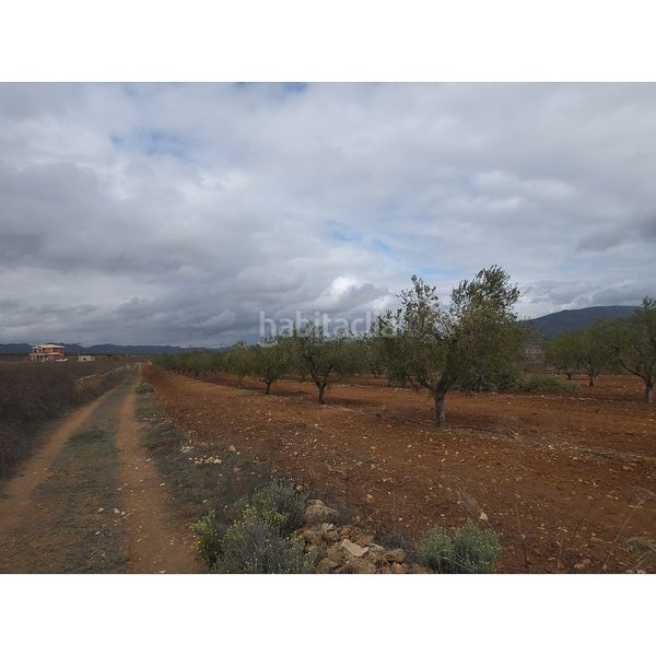 Foto ea918fa8-b713-4fc2-8691-fe52f71a4754. Finca rústica a Yecla