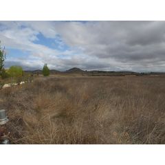 Landgut in Pinoso. Terreno con 15.167m2 en el culebrón