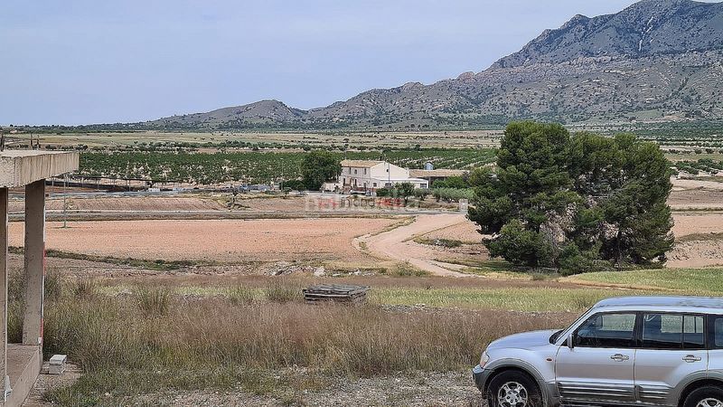 Foto da6ceef2-f6eb-4c08-9617-e1a7df4a25cd. Xalet a Jumilla