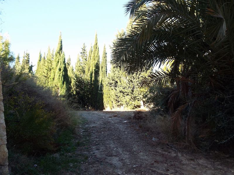 Foto c9b6cabe-33e7-433c-b7f6-8e6dcdc067ca. Masia a Abanilla