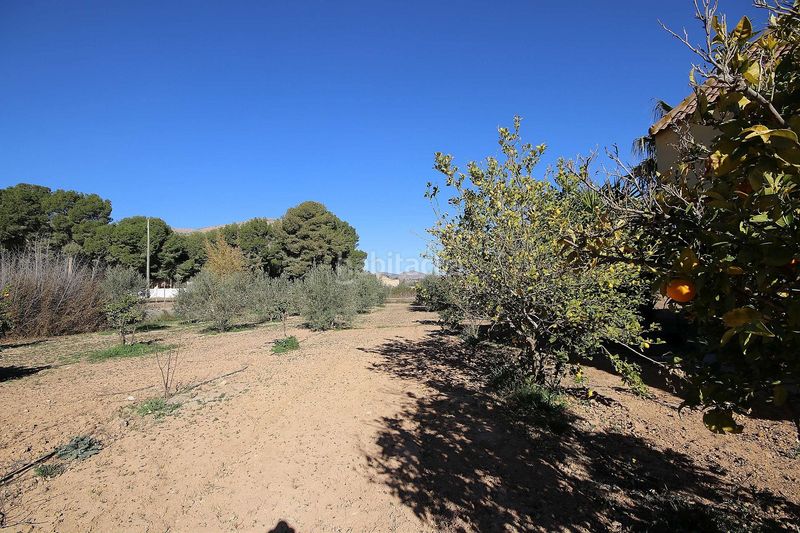 Foto d6a4946a-0849-44d9-ac64-42e2a926dbf5. Xalet a Pedanías Oeste Aspe