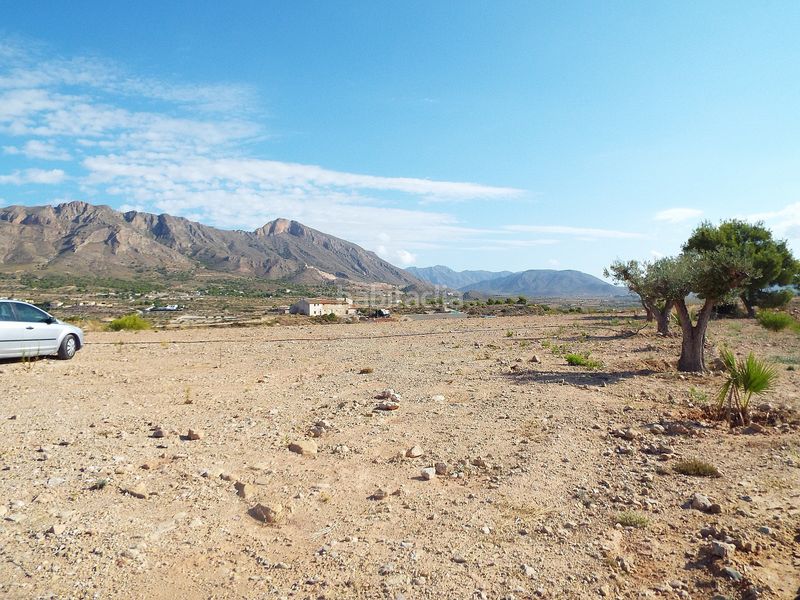 Foto ae774970-53bf-4eb7-88f0-33d648eb05a9. Finca rústica a Abanilla