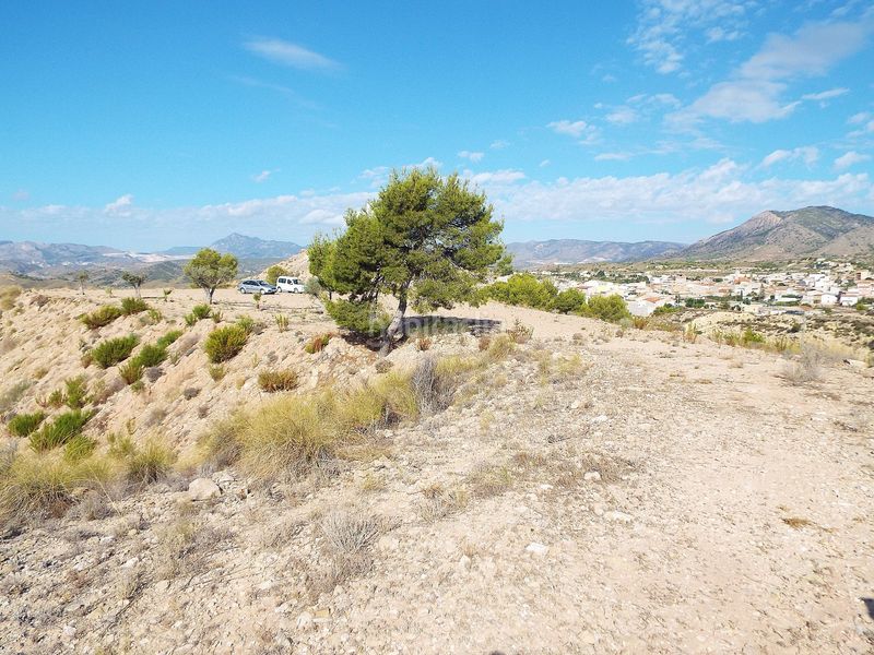 Foto fb5a86b2-0c3a-4b87-a527-552a1d57859c. Finca rústica a Abanilla