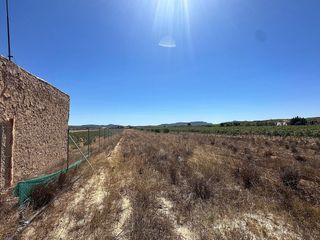 Rural plot in Pinoso. Increible parcela de 10.000 m en pinoso
