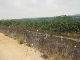 Rural plot in Monforte del Cid. Terreno cerca de alenda golf
