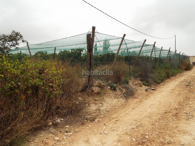 Foto aba3640e-3e5a-4ac6-a13e-43951ddae2ce. Finca rústica parcela edificable cerca de alenda golf en Monforte del Cid