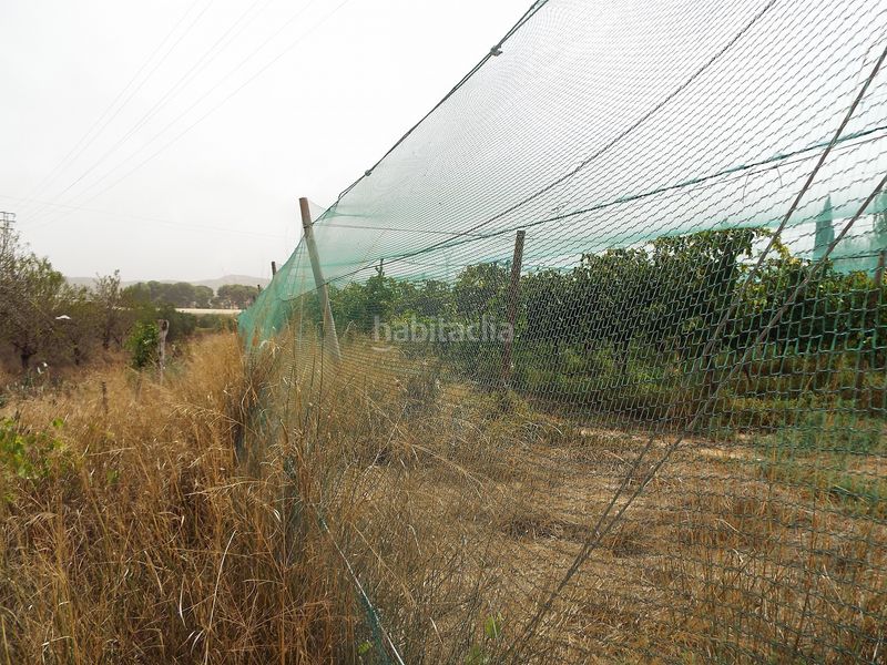 Foto bd30de64-7976-4caf-a87b-e61de8d472f8. Finca rústica parcela edificable cerca de alenda golf en Monforte del Cid