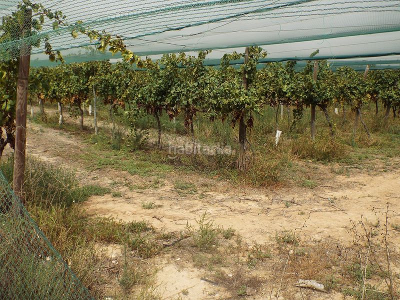 Foto fa4d1f2b-c220-4fe2-aa2c-11f74cfae522. Finca rústica parcela edificable cerca de alenda golf en Monforte del Cid