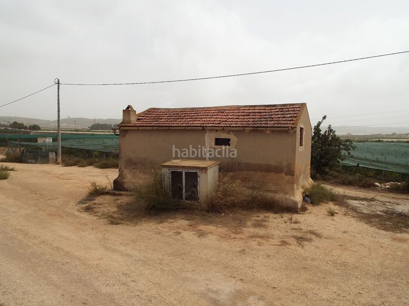 Foto 03778bd9-1b15-44d7-87c0-ea4ca3794339. Finca rústica parcela doble edificable cerca de alenda golf en Monforte del Cid