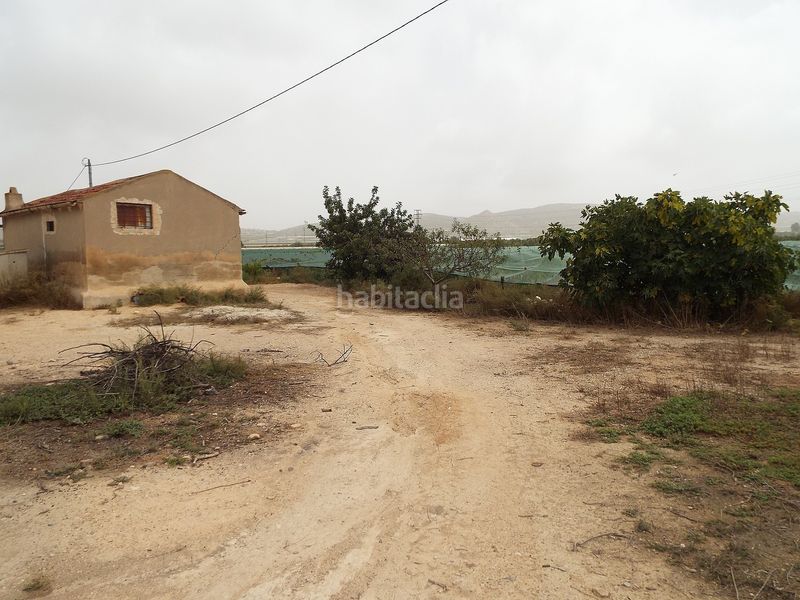 Foto 379d0cc8-745a-412e-bf77-65e18e0c4655. Finca rústica parcela doble edificable cerca de alenda golf en Monforte del Cid