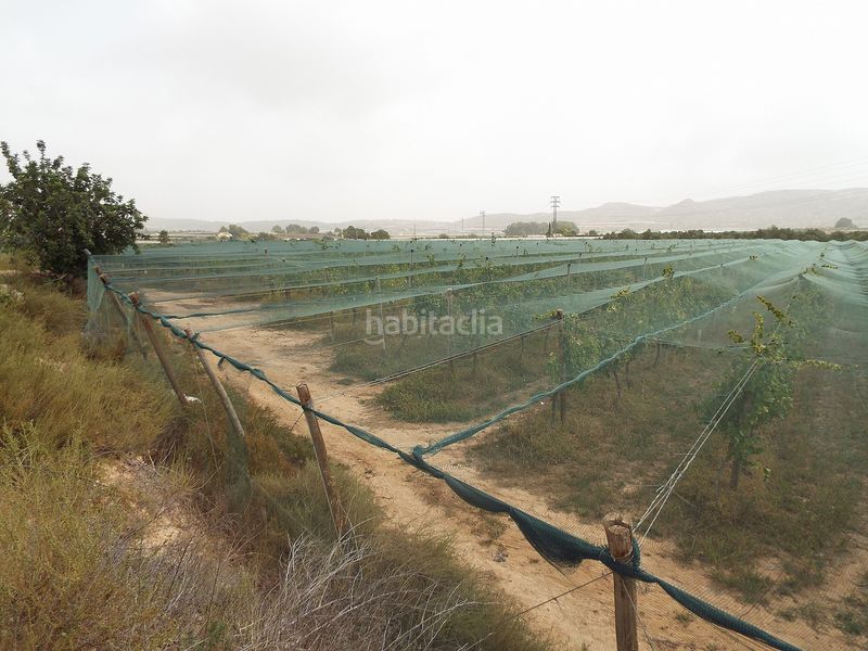 Foto bc352084-c53a-4aad-98e6-f2f82afdbdb8. Finca rústica parcela doble edificable cerca de alenda golf en Monforte del Cid