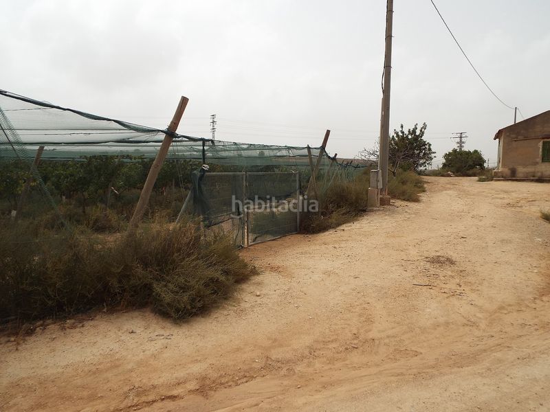 Foto e26e14ce-9743-4256-8a7b-e7ecf51a444b. Finca rústica parcela doble edificable cerca de alenda golf en Monforte del Cid