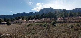 Finca rústica en Romana (la). Terreno de 10.012m en posición elevada