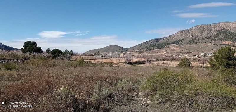 Foto b05beaf8-f080-4fd3-9d84-cc83073ff28d. Finca rústica a Romana (la)