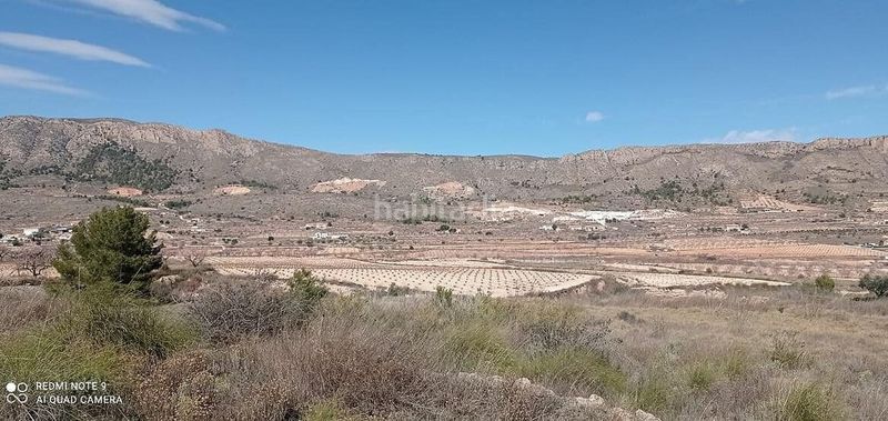 Foto f034e049-aba7-4d0e-b119-697df80dc017. Finca rústica a Romana (la)