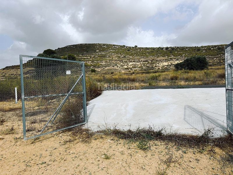 Foto 181e1227-82c4-4d9f-a283-a6d2bd5f5e1f. Finca rústica a Jumilla