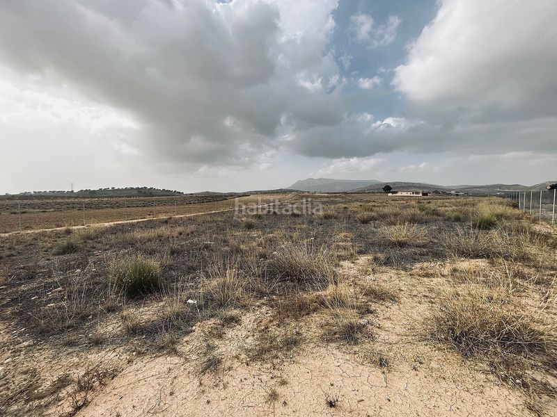 Foto 2898c260-b7d9-4294-84c6-35c838be4a79. Finca rústica a Jumilla