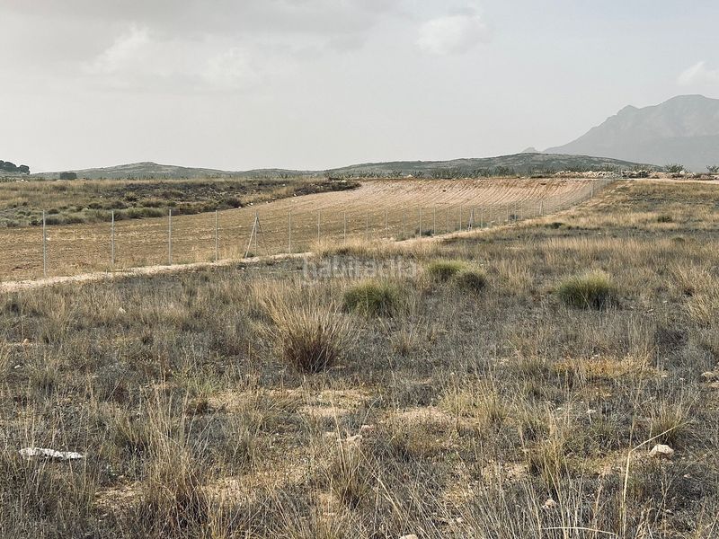 Foto 2f5bd0ad-3c49-4769-8e5c-0a8340566ff4. Finca rústica a Jumilla