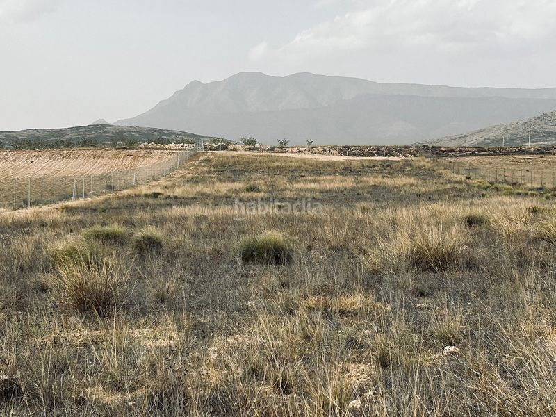 Foto 490029cb-3450-442b-a53d-30d8a99e5170. Finca rústica a Jumilla