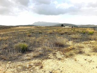 Rural plot in Jumilla. Terreno, en venta en torre del rico
