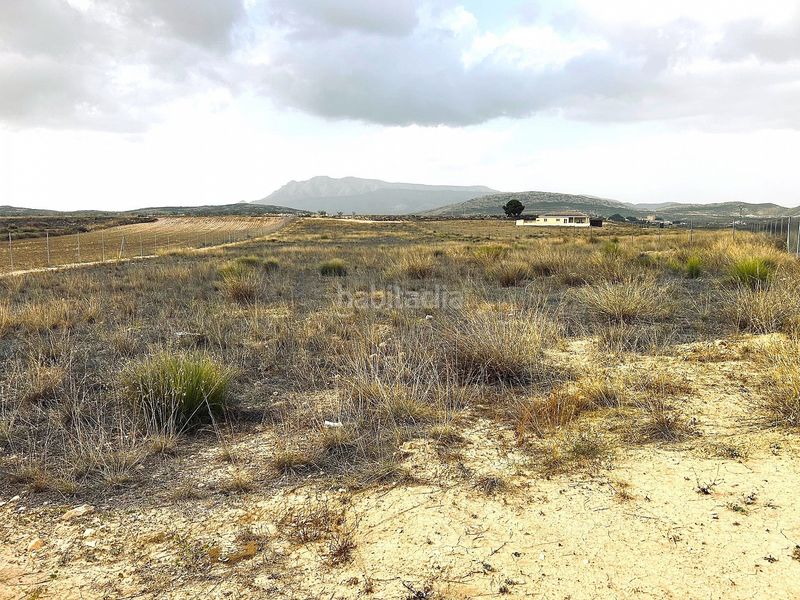 Foto 5d96a012-ea84-4d66-b56a-fd7db47727fa. Finca rústica a Jumilla