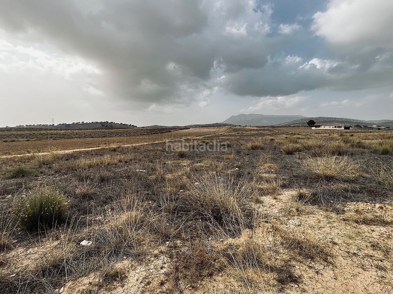Foto a3ba0bb2-4af0-465e-b32e-1fa0dfa461bb. Finca rústica a Jumilla