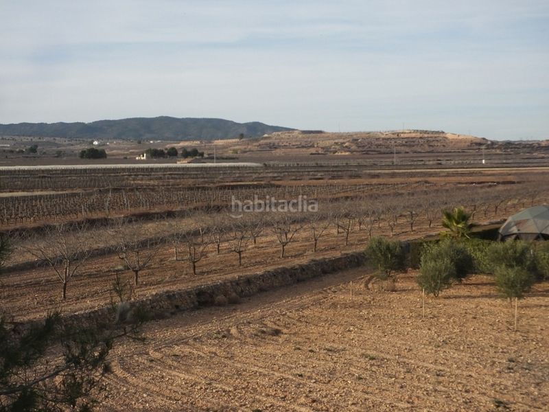 Foto cbf636c1-dddf-4585-8793-faea31fc1cb7. Masia a Pinoso