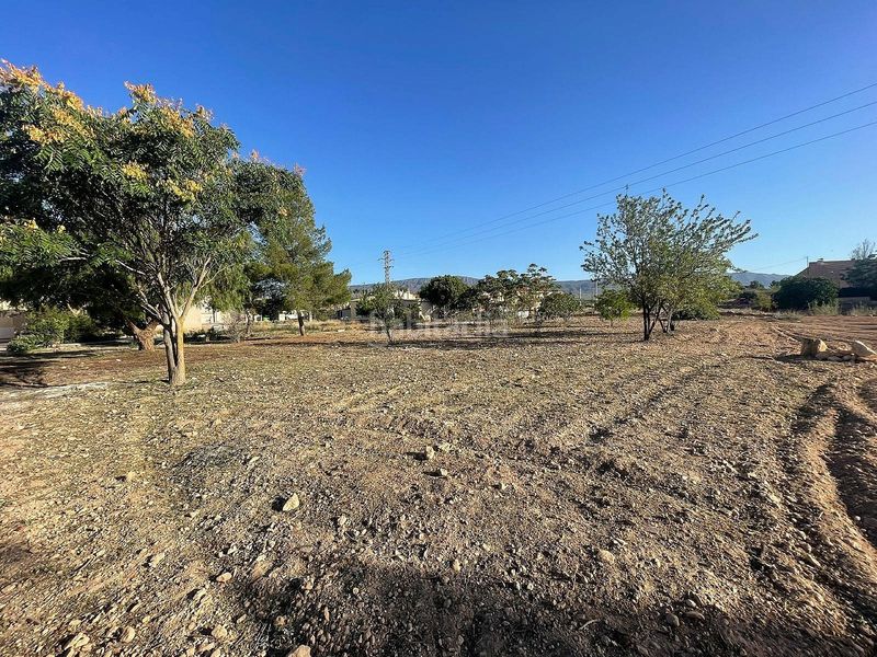 Foto 7c89663d-1d1c-4abd-b0b2-5d0081834d53. Finca rústica a Pinoso
