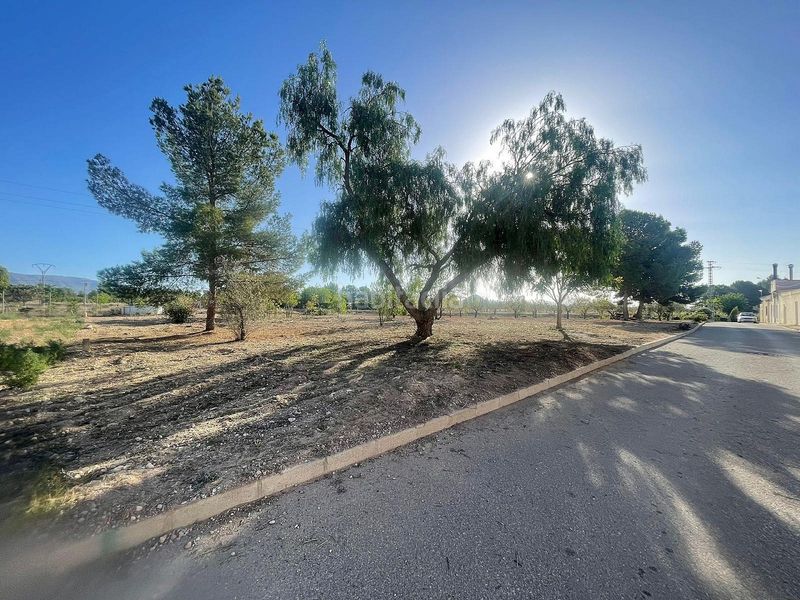 Foto b314e0d6-712c-4154-a0db-60f4b092ff3a. Finca rústica a Pinoso