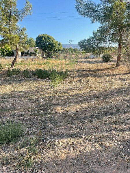 Foto f1cefb0a-efde-41d7-97f6-ad4bd603d6ad. Finca rústica a Pinoso