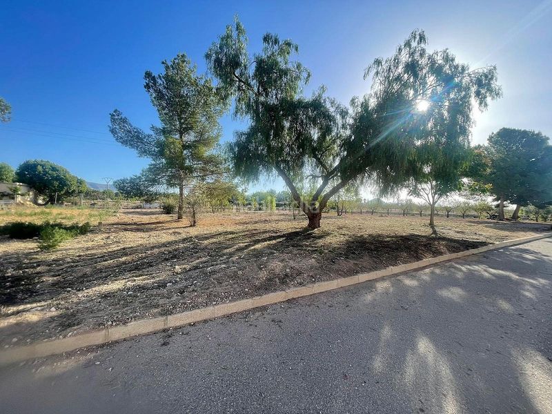 Foto ffb7cd4c-8174-47df-9374-734746fbd4e9. Finca rústica a Pinoso