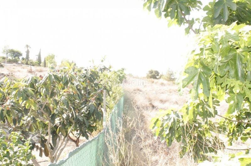 Foto f20bf0a1-8ac0-4812-a810-6fef4baa5043. Masia a Fortuna