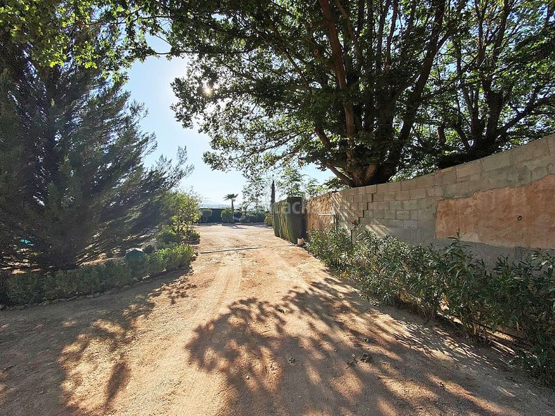 Foto ddb04633-013f-4c31-8599-7898e4ded730. Masia a Pinoso