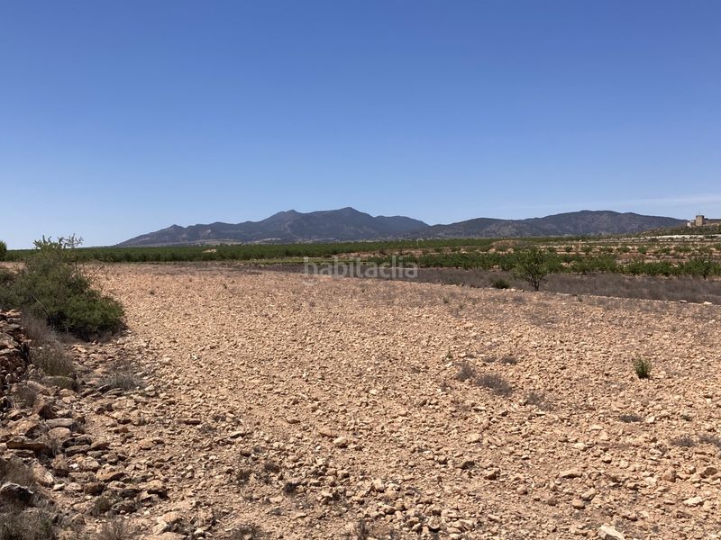 Foto be84fb29-0300-4d32-8857-e3c527d7a064. Finca rústica a Pinoso