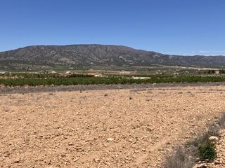Rural plot in Pinoso