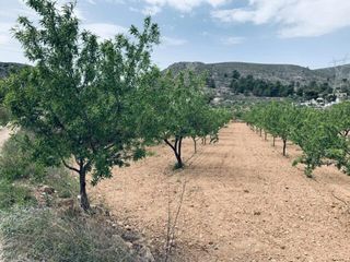 Finca rústica en Romana (la). Hermoso terreno en venta en la romana