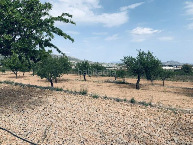 Foto 19c1f5f1-0189-4603-99d6-098933c338b5. Finca rústica a Romana (la)