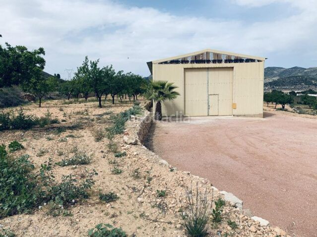 Foto a748571a-073d-4743-ac2e-51f09be15ab1. Finca rústica a Romana (la)