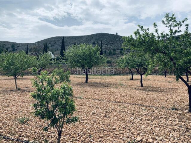 Foto e09e073f-2b98-4621-9aff-b26e88c31770. Finca rústica a Romana (la)