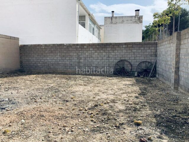 Foto 8e968eea-6016-42d4-a61a-4c4880a991d1. Finca rústica a Romana (la)
