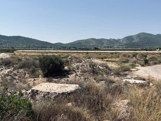 Finca rústica en Romana (la). Terreno en venta en la romana