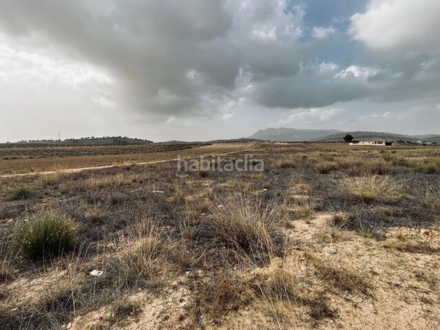 Foto 046a8c8c-2ef7-4f4b-b4f4-a533c1ee3c2a. Finca rústica a Jumilla
