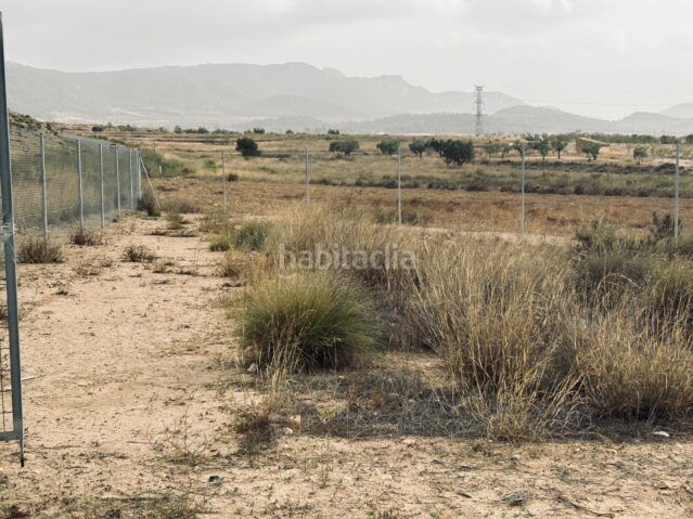 Foto bdf949e0-84ca-4a54-8015-f558a9e40936. Finca rústica a Jumilla