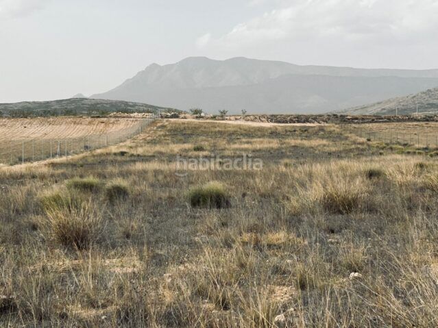 Foto c2dda11a-1db8-4bf8-9b84-7a86d3c82729. Finca rústica a Jumilla