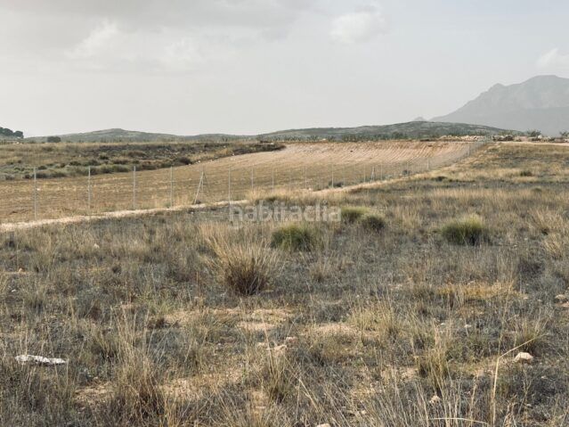 Foto cfb106bf-2a71-4b1e-8baf-85bfc00aa348. Finca rústica a Jumilla