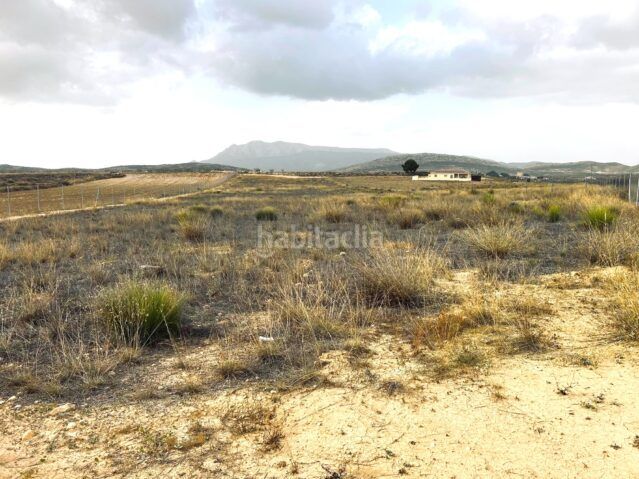 Foto e6ae33a6-793a-4c59-b779-a0eefde8ebe5. Finca rústica a Jumilla