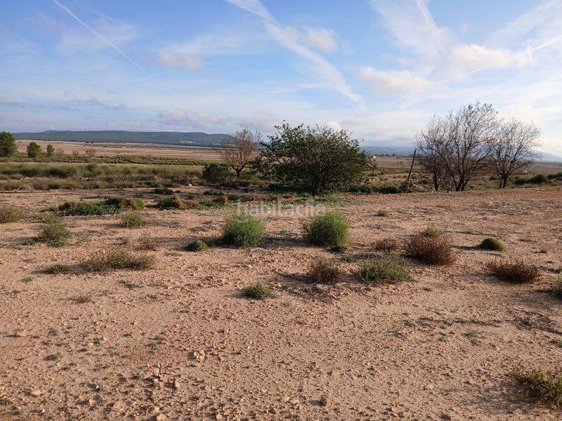 Foto b1d280e3-8274-4202-a282-74eacf0bfa6a. Finca rústica a Yecla