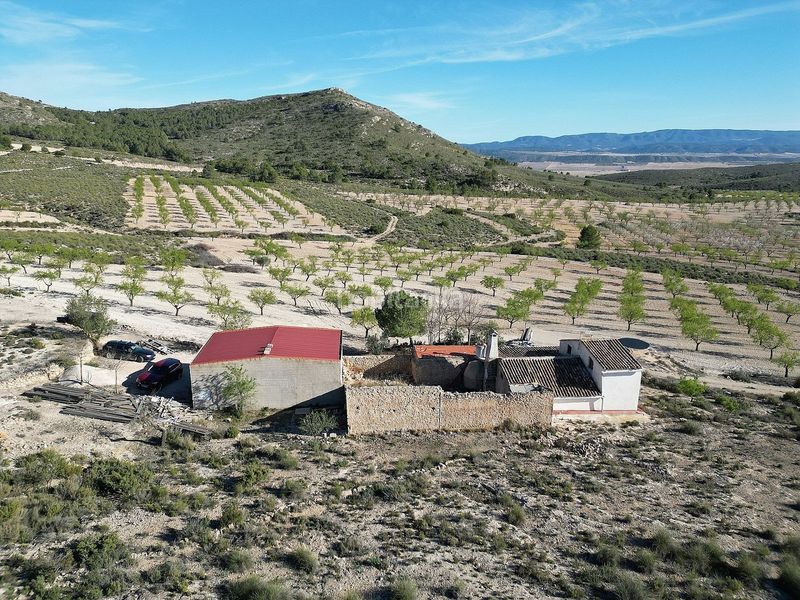 Foto 7ee9428e-3488-4ed3-a54f-696db06644e8. Casale in Caudete