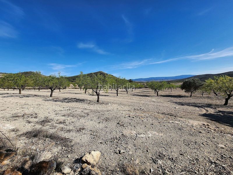 Foto a6a148bb-27eb-4607-a5d8-09b001ccdf29. Casale in Caudete